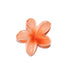 Flower Hair Clip - Ojo de Mar
